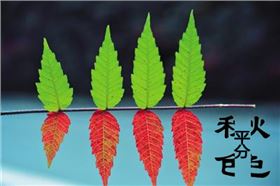 今日立秋‖深联线路板告诉你秋天的那点事