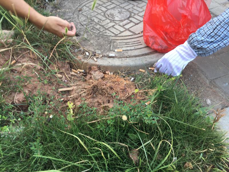 深联PCB厂号召大家不要随手丢垃圾，共同尽力守护我们的家园